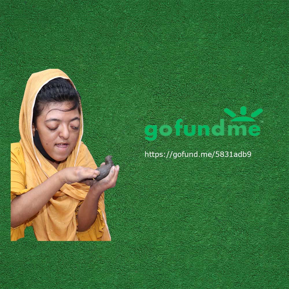 GoFundMe